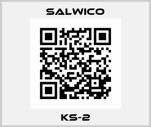 KS-2 Salwico