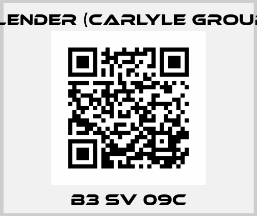 B3 SV 09C Flender (Carlyle Group)