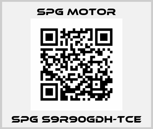 SPG S9R90GDH-TCE Spg Motor