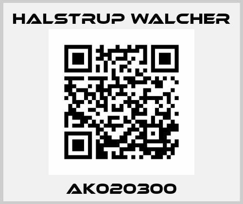 AK020300 Halstrup Walcher