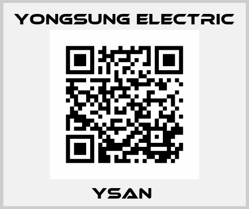 YSAN  YongSung Electric