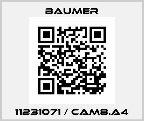 11231071 / CAM8.A4 Baumer