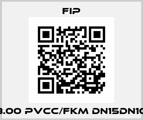 F3.00 PVCC/FKM DN15DN100 Fip