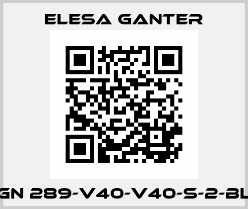 GN 289-V40-V40-S-2-BL Elesa Ganter