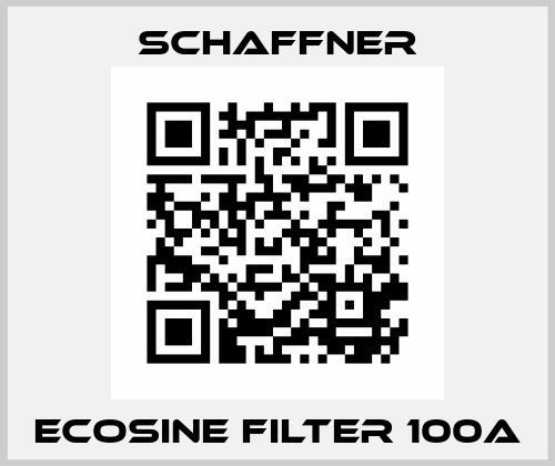 Ecosine filter 100A Schaffner