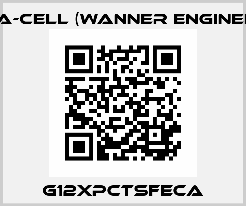 G12XPCTSFECA Hydra-Cell (Wanner Engineering)