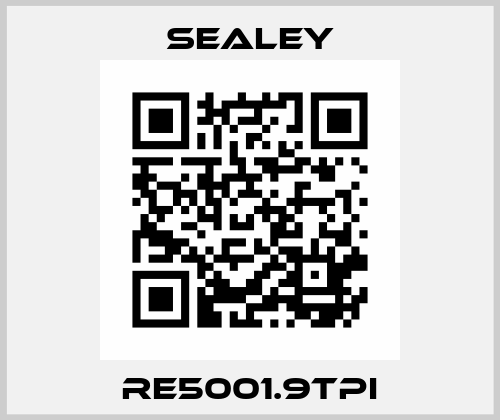 RE5001.9TPI Sealey