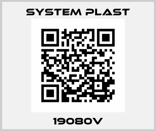 19080V System Plast