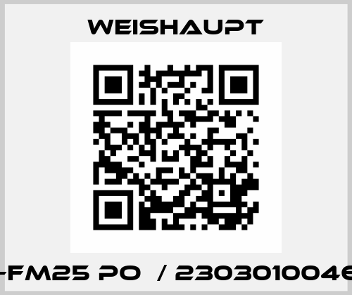 W-FM25 PO  / 23030100460 Weishaupt
