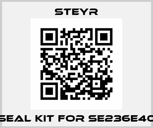 SEAL KIT FOR SE236E40 Steyr