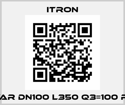 Flostar DN100 L350 Q3=100 R315 4" Itron