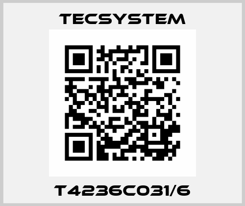 T4236C031/6 Tecsystem