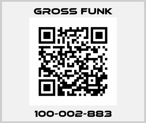 100-002-883 Gross Funk