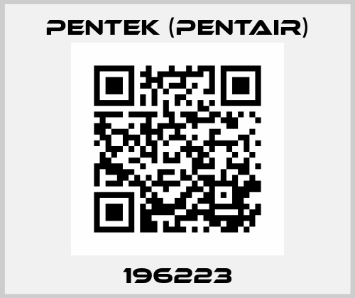 196223 Pentek (Pentair)