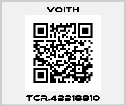 TCR.42218810 Voith