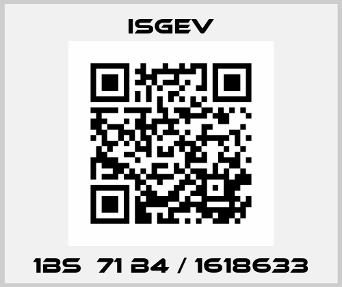 1BS  71 B4 / 1618633 Isgev