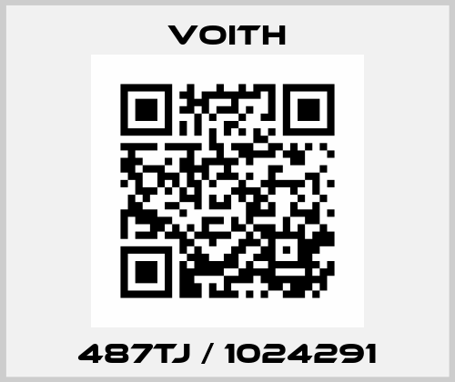 487TJ / 1024291 Voith