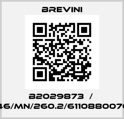 B2029873  /  ET3046/MN/260.2/61108800760 V5 Brevini