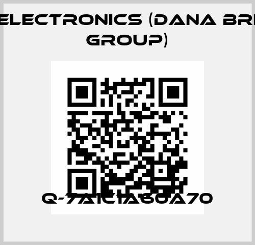 Q-7A1C1A60A70 BPE Electronics (Dana Brevini Group)