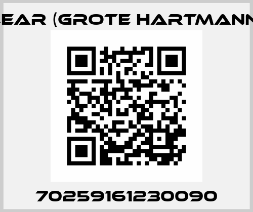 70259161230090 Lear (Grote Hartmann)