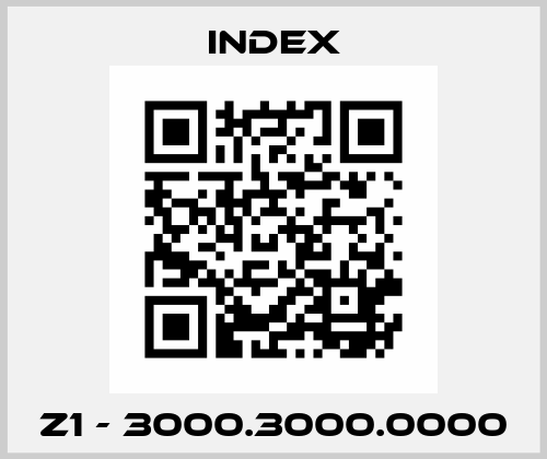 Z1 - 3000.3000.0000 Index