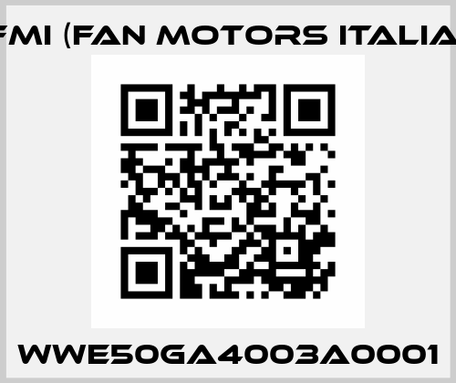 WWE50GA4003A0001 FMI ITALIA