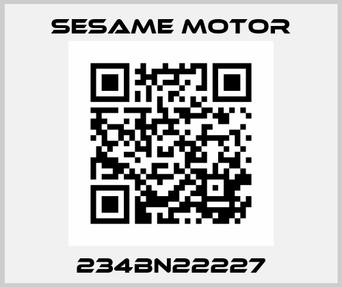 234BN22227 Sesame Motor