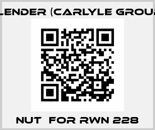 nut  for RWN 228 Flender (Carlyle Group)