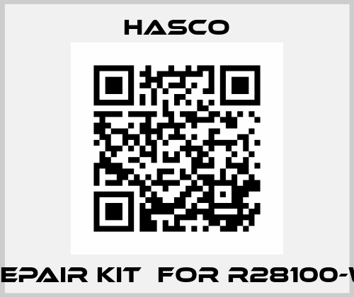 Repair kit  for R28100-W Hasco