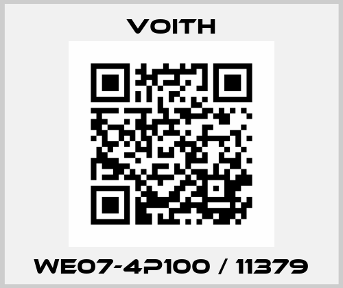 WE07-4P100 / 11379 Voith