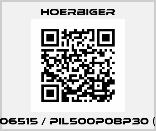 HV06515 / PIL500P08P30 (E2) Hoerbiger