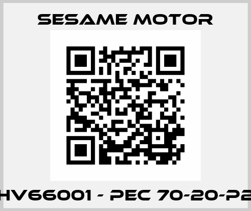 HV66001 - PEC 70-20-P2 Sesame Motor