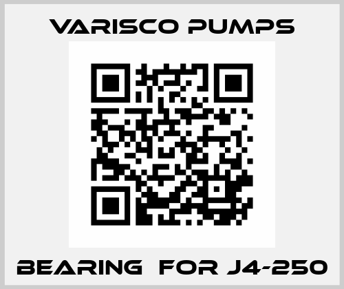 bearing  for J4-250 Varisco pumps