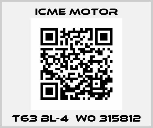 T63 BL-4  W0 315812 Icme Motor