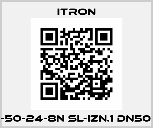 RR16-50-24-8N SL-IZN.1 DN50 PN16 Itron