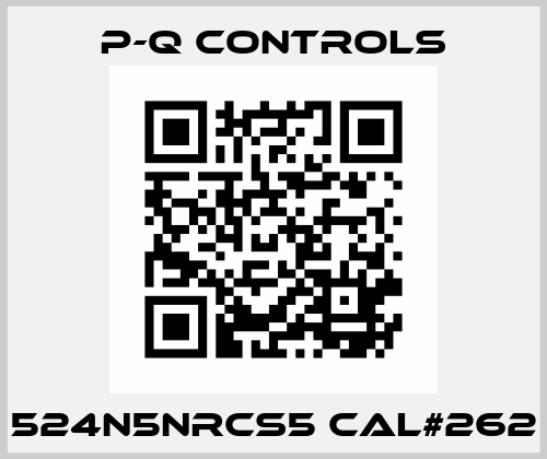 524N5NRCS5 CAL#262 P-Q Controls