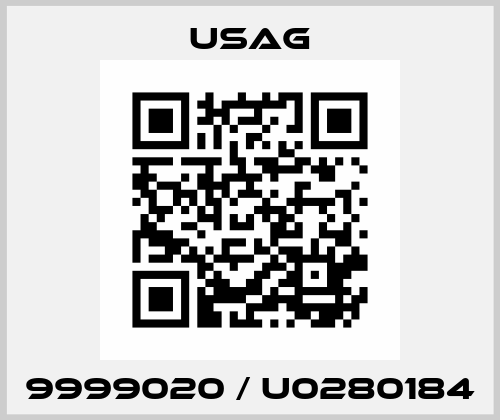 9999020 / U0280184 USAG