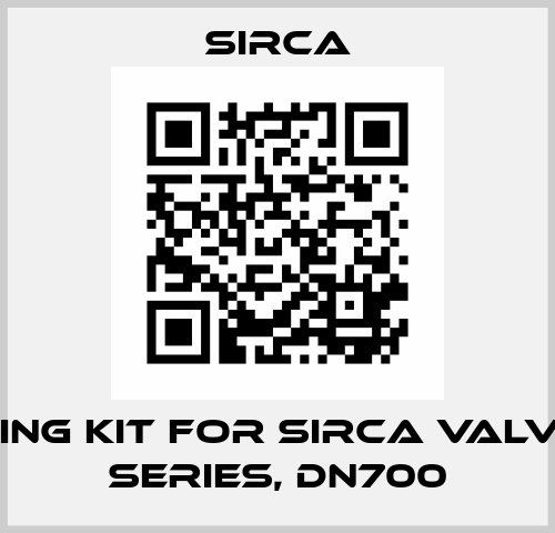 Sealing kit for Sirca valve 401 series, DN700 Sirca