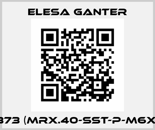 141373 (MRX.40-SST-p-M6x25) Elesa Ganter