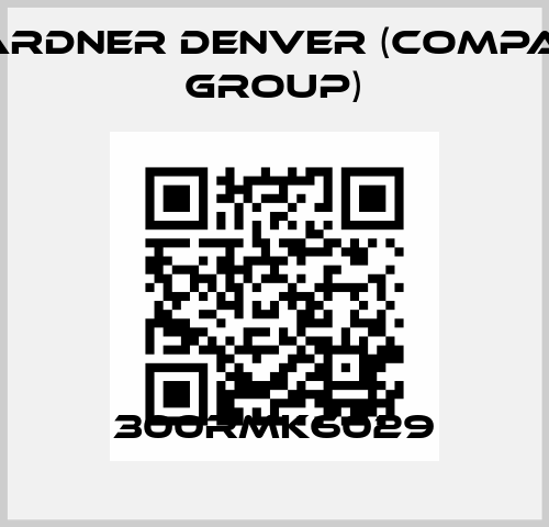 300RMK6029 Gardner Denver (Compair Group)