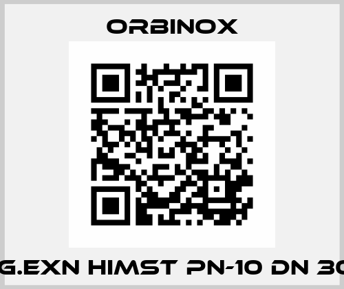 V.G.EXN HIMST PN-10 DN 300 Orbinox