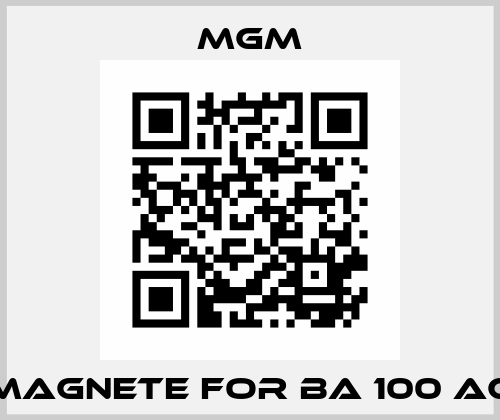 Magnete for BA 100 AC Mgm