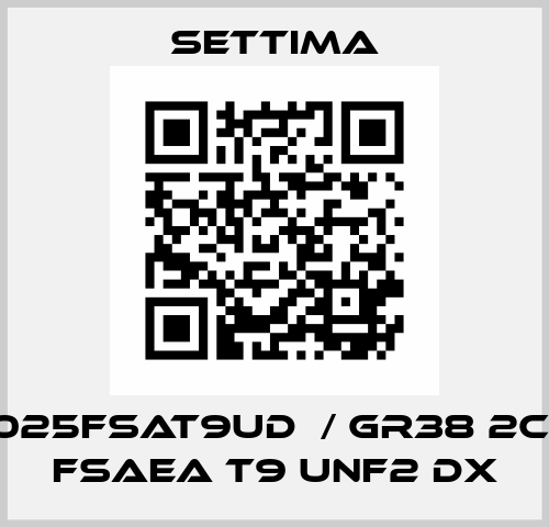 G38C025FSAT9UD  / GR38 2C 25cc FSAEA T9 UNF2 DX Settima