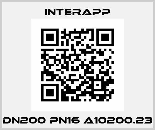DN200 PN16 A10200.23 InterApp