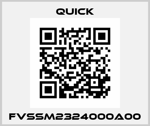 FVSSM2324000A00 Quick