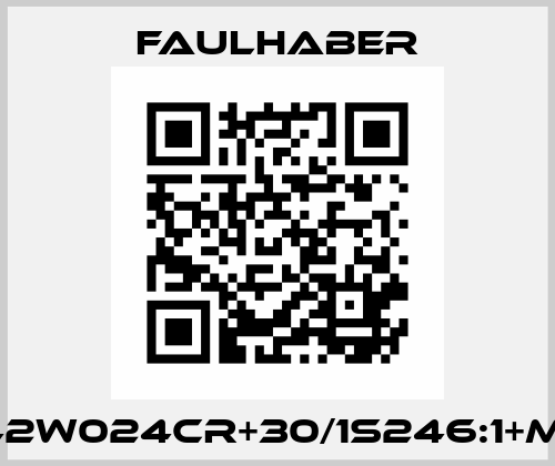 2642W024CR+30/1S246:1+MG10 Faulhaber