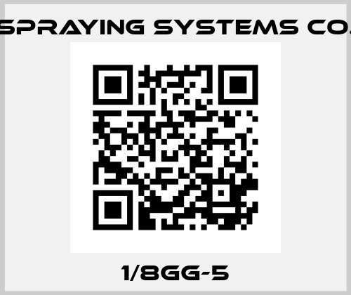 1/8GG-5 Spraying Systems Co.
