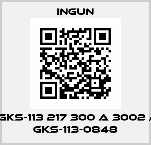 GKS-113 217 300 A 3002 / GKS-113-0848 Ingun