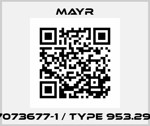 7073677-1 / Type 953.291 Mayr