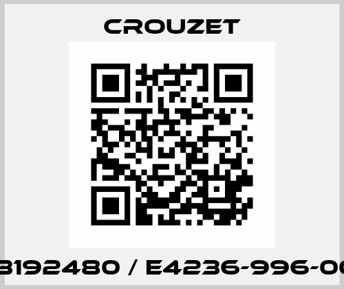 13192480 / E4236-996-00 Crouzet